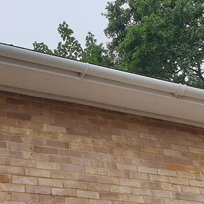 clean fascia