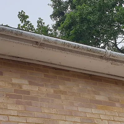 dirty fascia