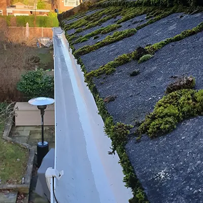 cleaned gutter